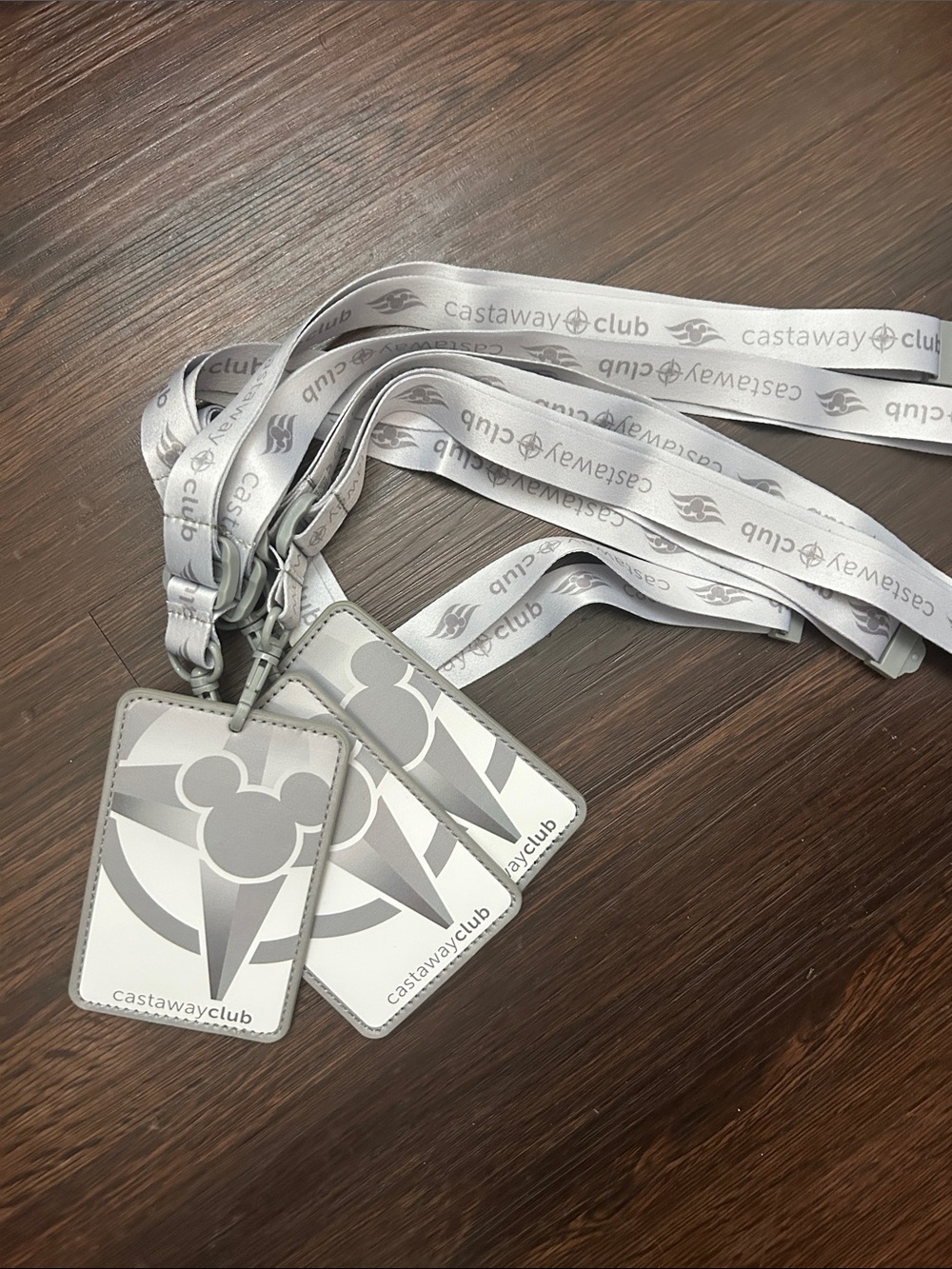 Disney Cruise Line Castaway Club Lanyard ID Badge Set of 3 in Silver